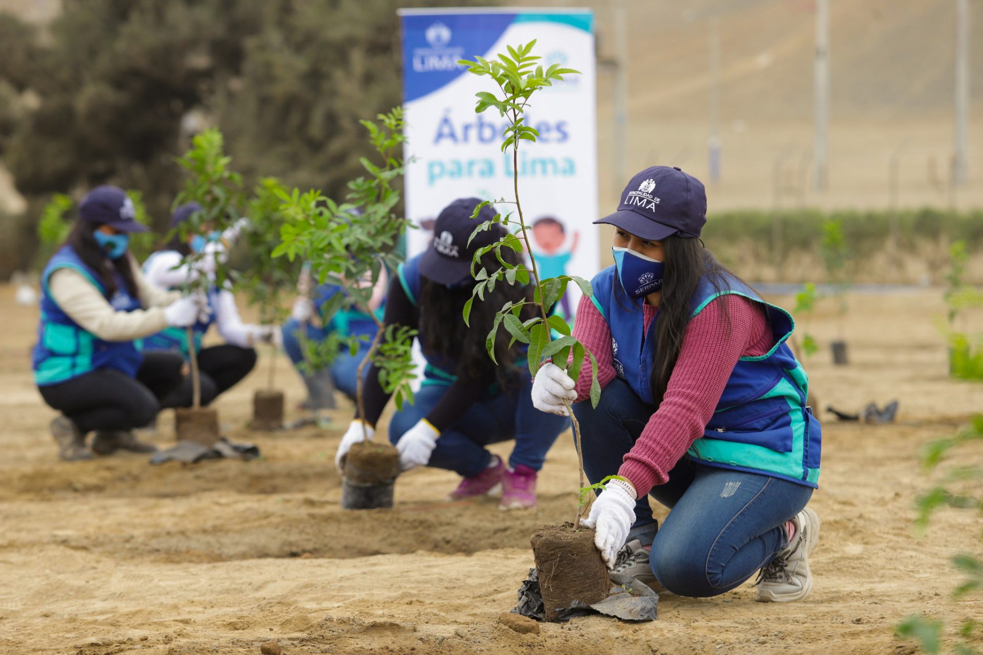 Programa De Arborizaci N Serpar Servicio De Parques De Lima