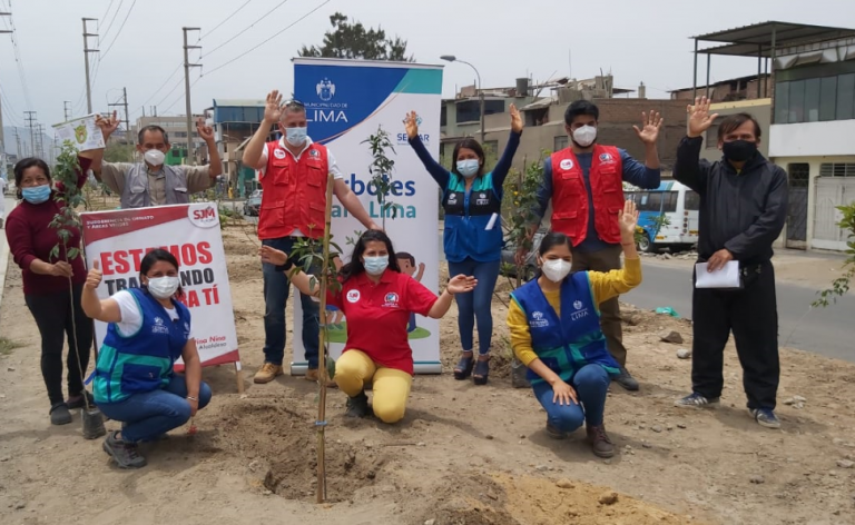 Árboles para Lima: Serpar plantó 600 árboles en San Juan de Miraflores