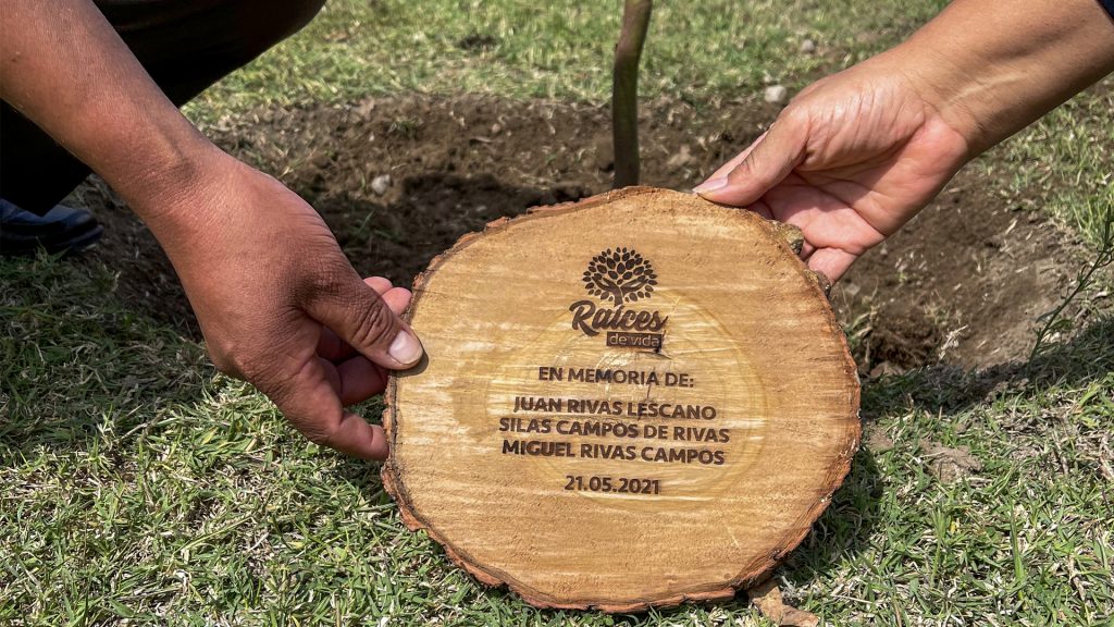 Raíces de Vida: Planta un árbol en memoria de un ser querido y otros  motivos especiales | SERPAR - Servicio de Parques de Lima