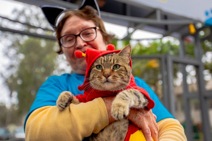 Serpar celebró el Día Internacional del Gato