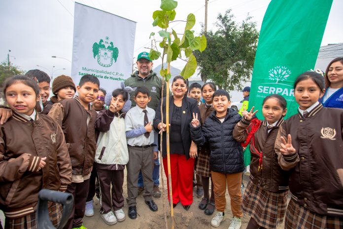 Entrega de Bono Árbol