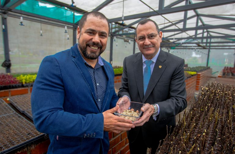 Día del Árbol: Plantamos cerca de 160,000 árboles en la capital