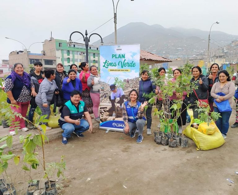 Serpar entregó más de 3,500 árboles a Ollas Comunes de Lima Norte en el mes de julio