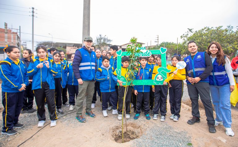 Plantación de programa Lima Verde beneficiará a más de 3,000 familias de Villa El Salvador