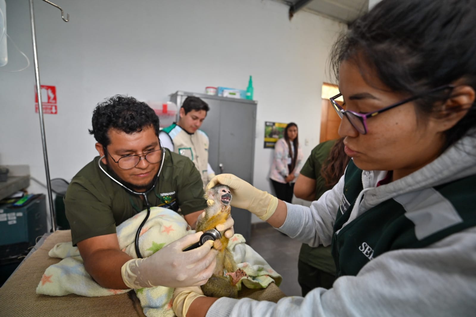 Monitos rescatados en zoolgico de Serpar