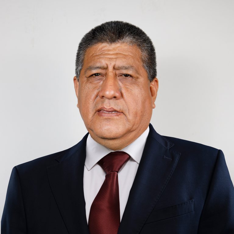 Maximo Ricardo Ramirez Aguilar