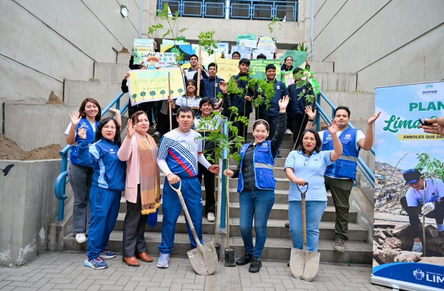 Lima Verde: Más de 185 000 árboles plantados