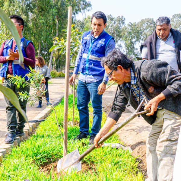 SERPAR plantó más de 600 árboles en el marco de la Semana Forestal Nacional