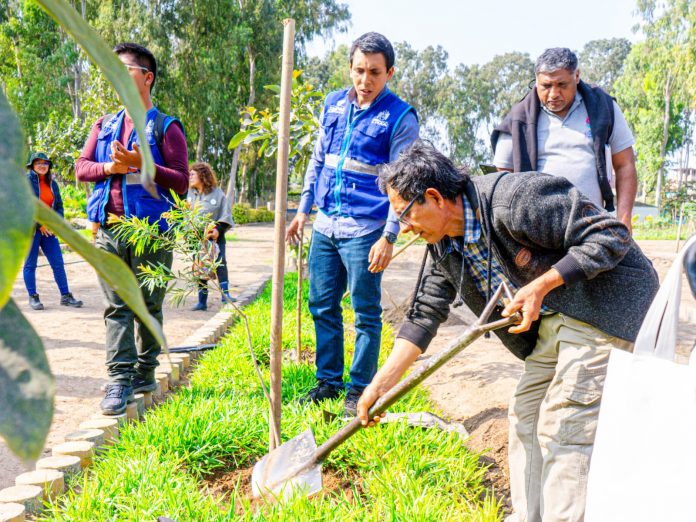 SERPAR plantó más de 600 árboles en el marco de la Semana Forestal Nacional