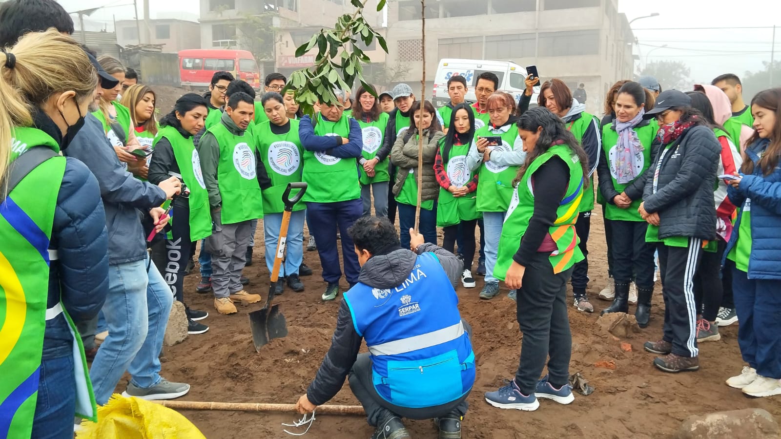 Plantacin de 100 rboles en Canta Callao